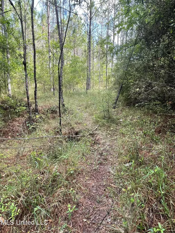 Beaumont, MS 39423,Kittrell Road