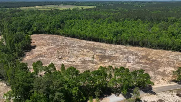 Bogue Chitto, MS 39629,3 Big Creek Road