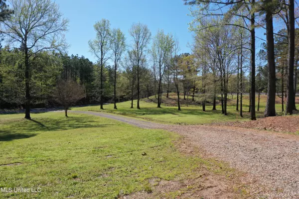 Red Banks, MS 38661,207 Skating Rink Road