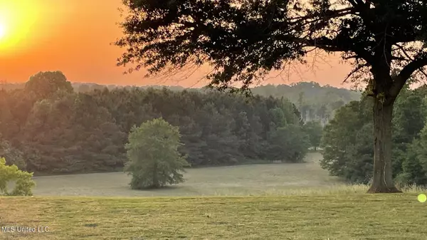 Forest, MS 39074,1 Tallabogue Rd. Road