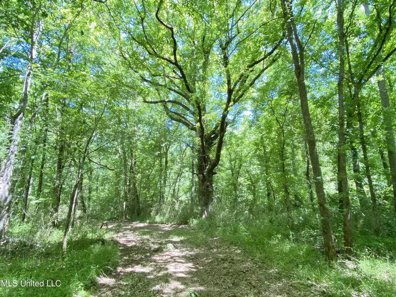 Old Trace Road, Kosciusko, MS 39090