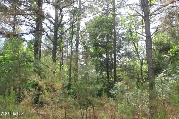 Waterford, MS 38685,2404 Musgray Road