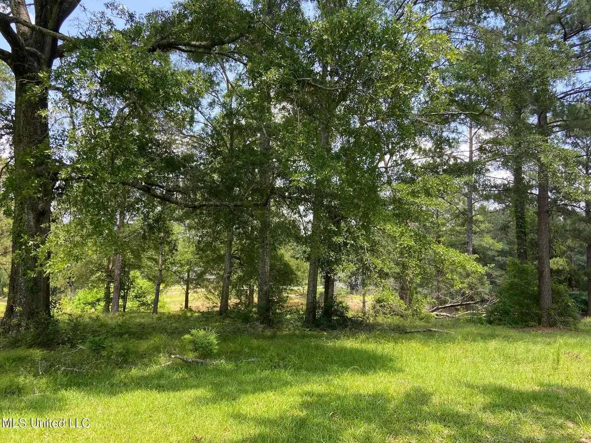 Poplarville, MS 39470,0 Sweetbay Road