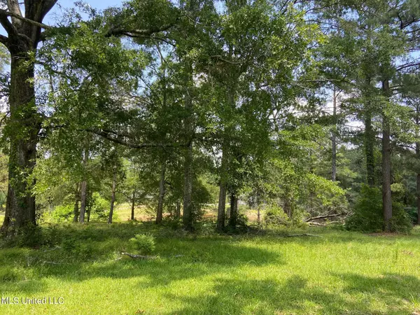 0 Sweetbay Road, Poplarville, MS 39470