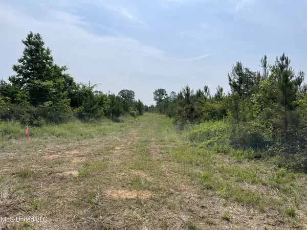 Holly Springs, MS 38635,8 Hardin Road