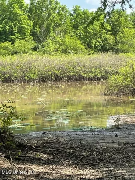 Willis Road, Rolling Fork, MS 39159