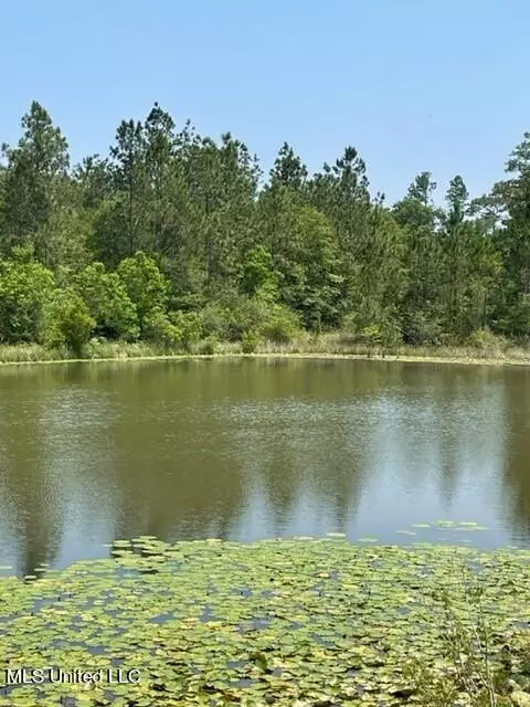 Gulfport, MS 39503,14078 Old Mossy Trail