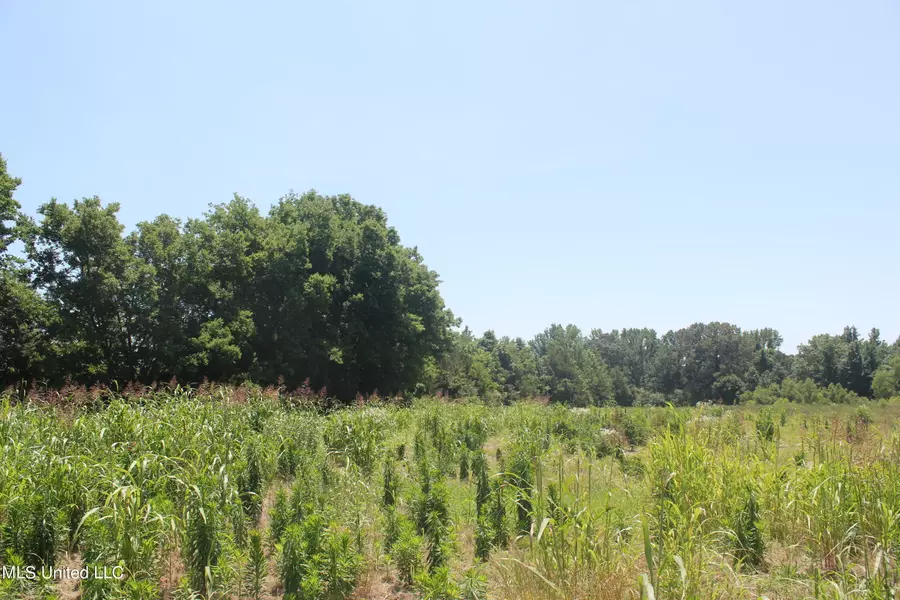 7001 N Highway 301, Lake Cormorant, MS 38641