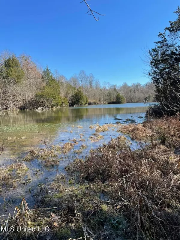 Yazoo City, MS 39194,George Kirk Road