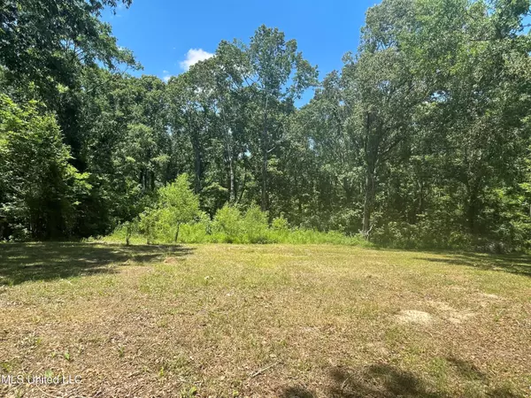 Raymond, MS 39154,132 Cedar Ridge Road