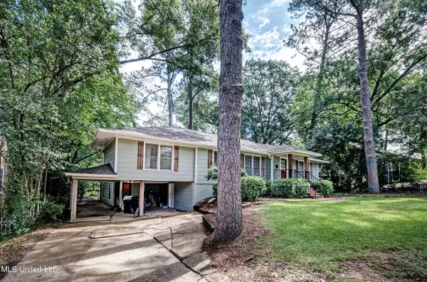 Jackson, MS 39206,1164 Martingale Road