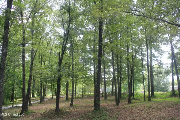 Byhalia, MS 38611,188 Peach Tree Road
