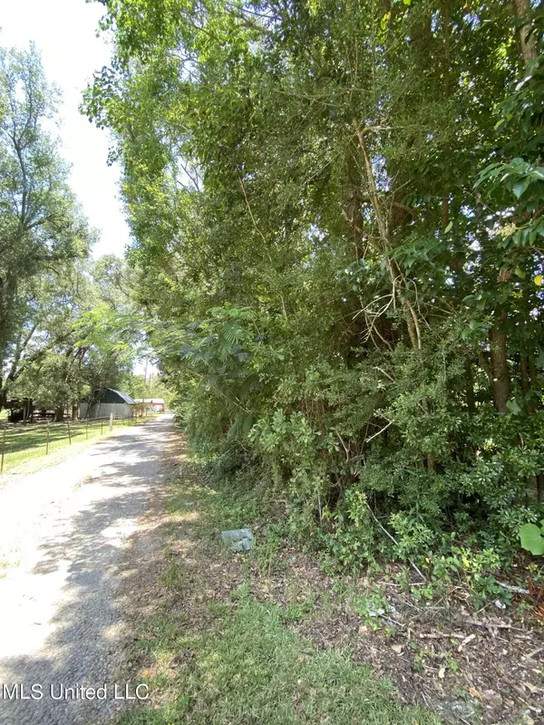 Picayune, MS 39466,17 Buddy Road