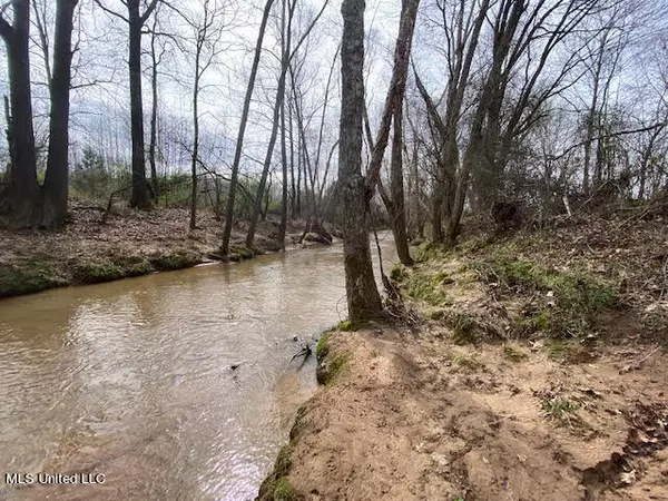 Michigan City, MS 38647,Us. 72 Highway