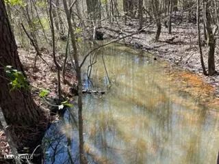 Mendenhall, MS 39114,S Cole Road