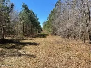 Mendenhall, MS 39114,S Cole Road