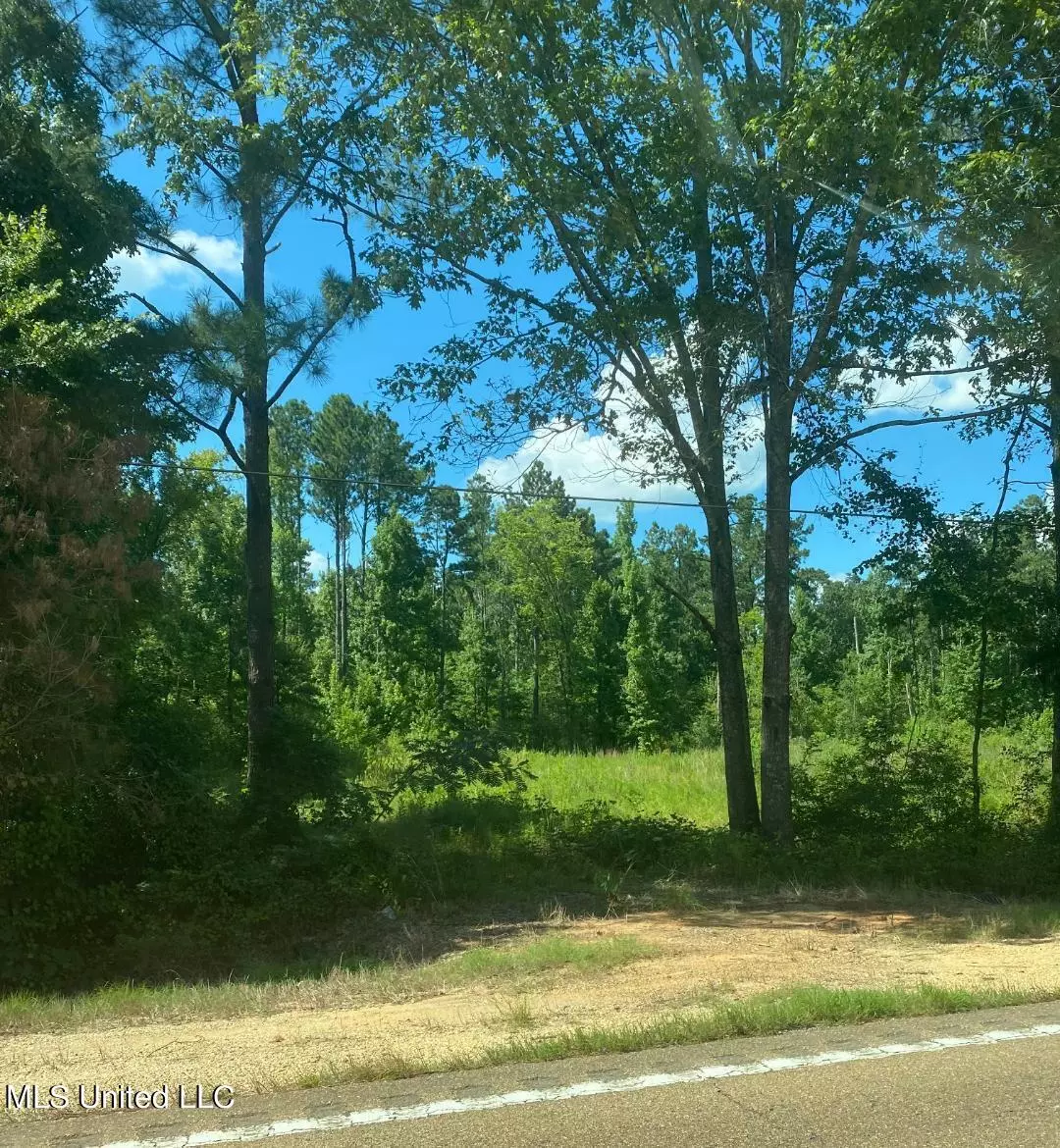 Forest, MS 39074,9110 Us-80