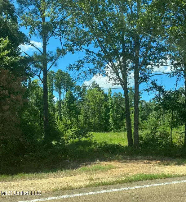 9110 Us-80, Forest, MS 39074