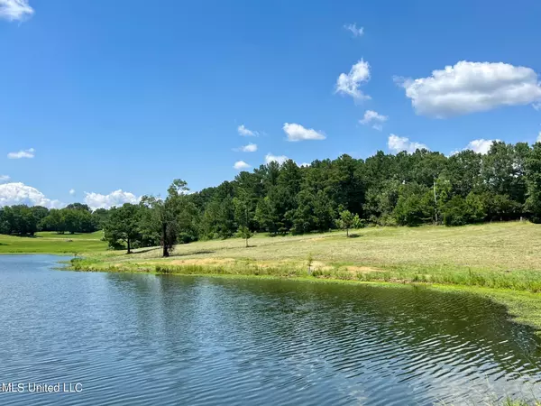 Flora, MS 39071,Cedar Hill Rd