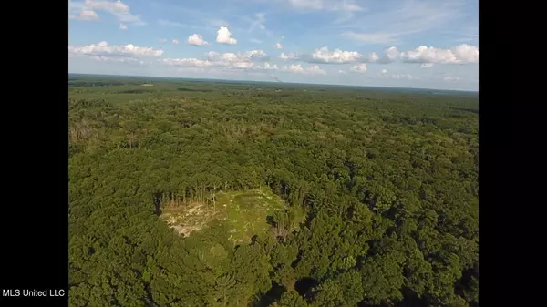 Forest, MS 39074,Hwy 35