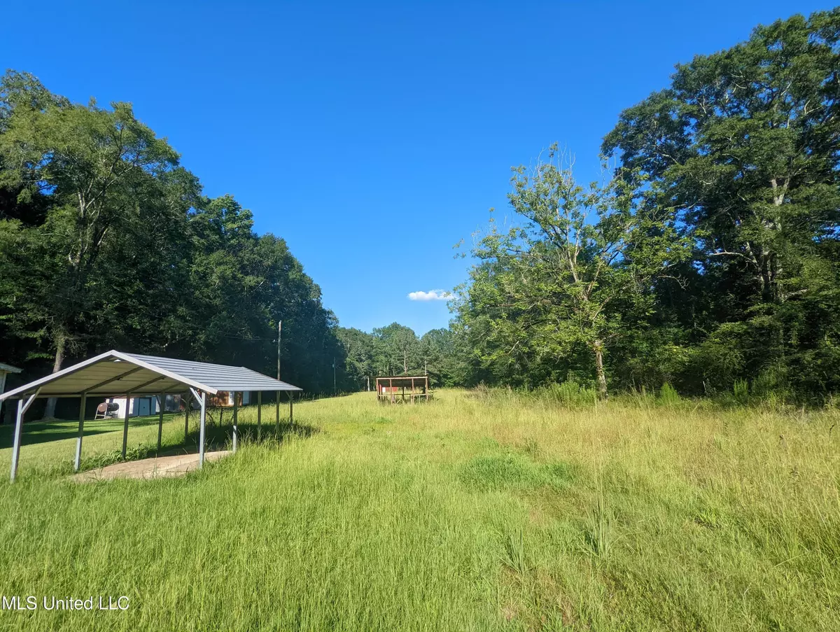 Forest, MS 39074,Hwy 35