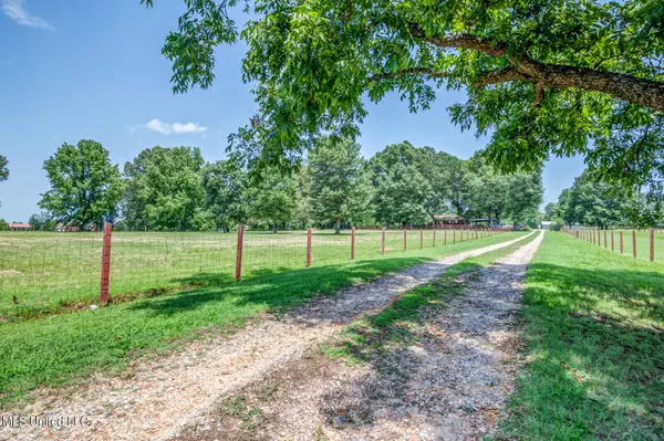 Coldwater, MS 38618,198 Hardin Lane