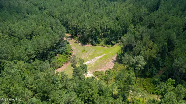 Braxton, MS 39044,Saint John Road