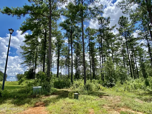 Carriere, MS 39426,West Slope Drive