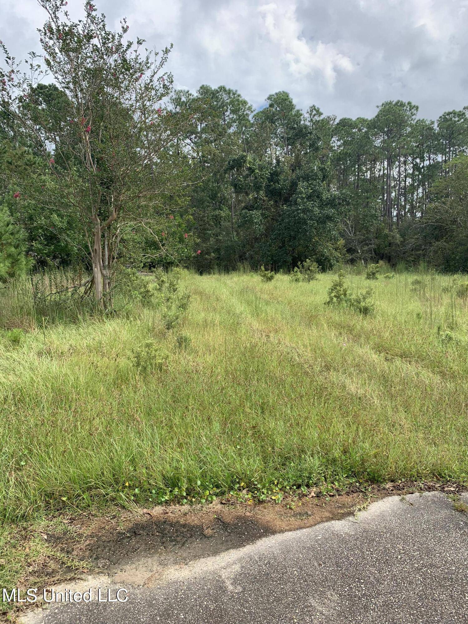 Diamondhead, MS 39525,3536 Loulu Place