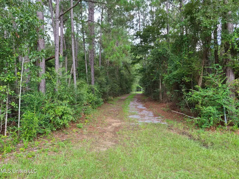 17420 Cj Dellie Road, Saucier, MS 39574