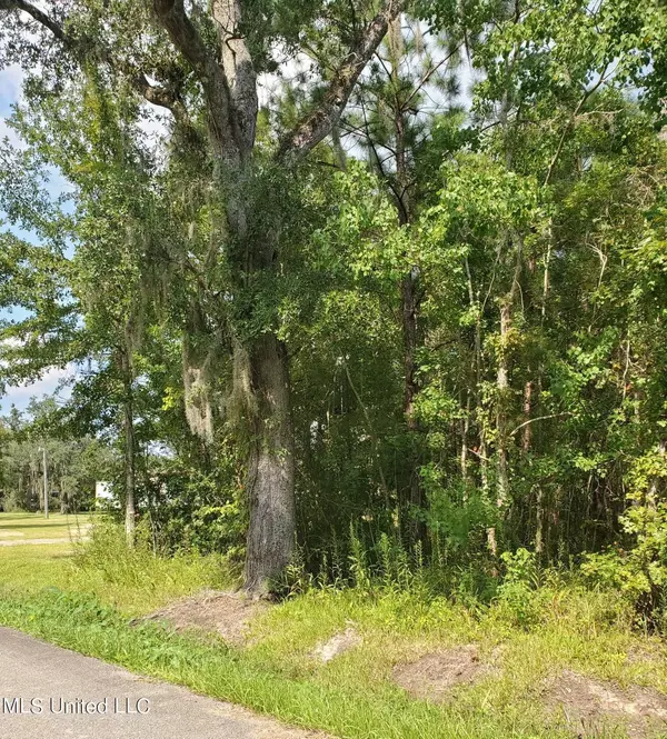 Maple Drive, Pearlington, MS 39572