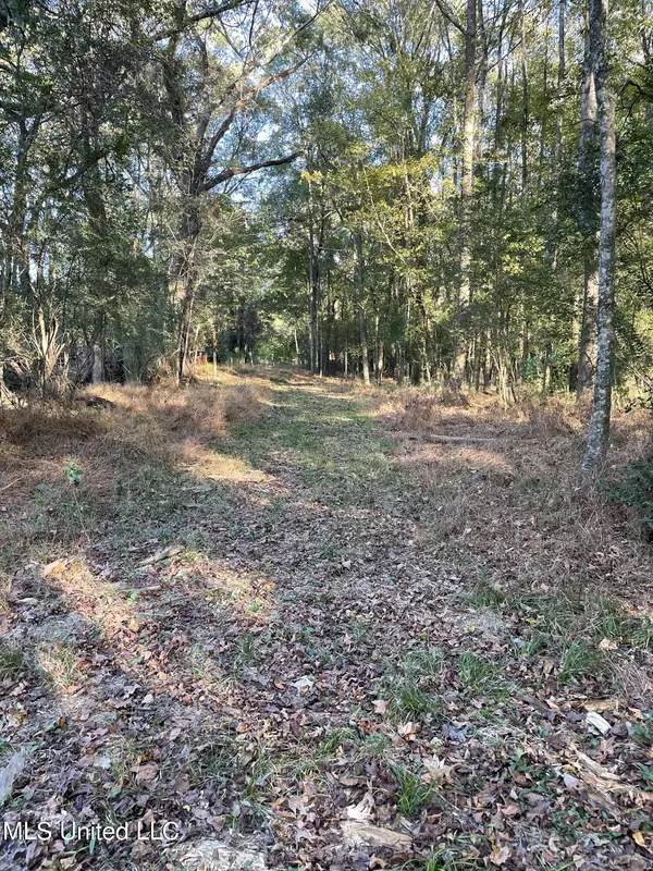 Clinton, MS 39056,E Lake Drive