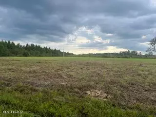 397 Baxterville Road, Lumberton, MS 39455