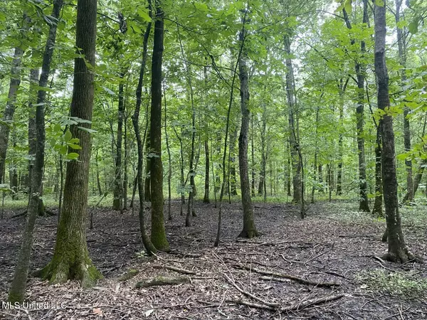 Beulah, MS 38726,Mound City Road