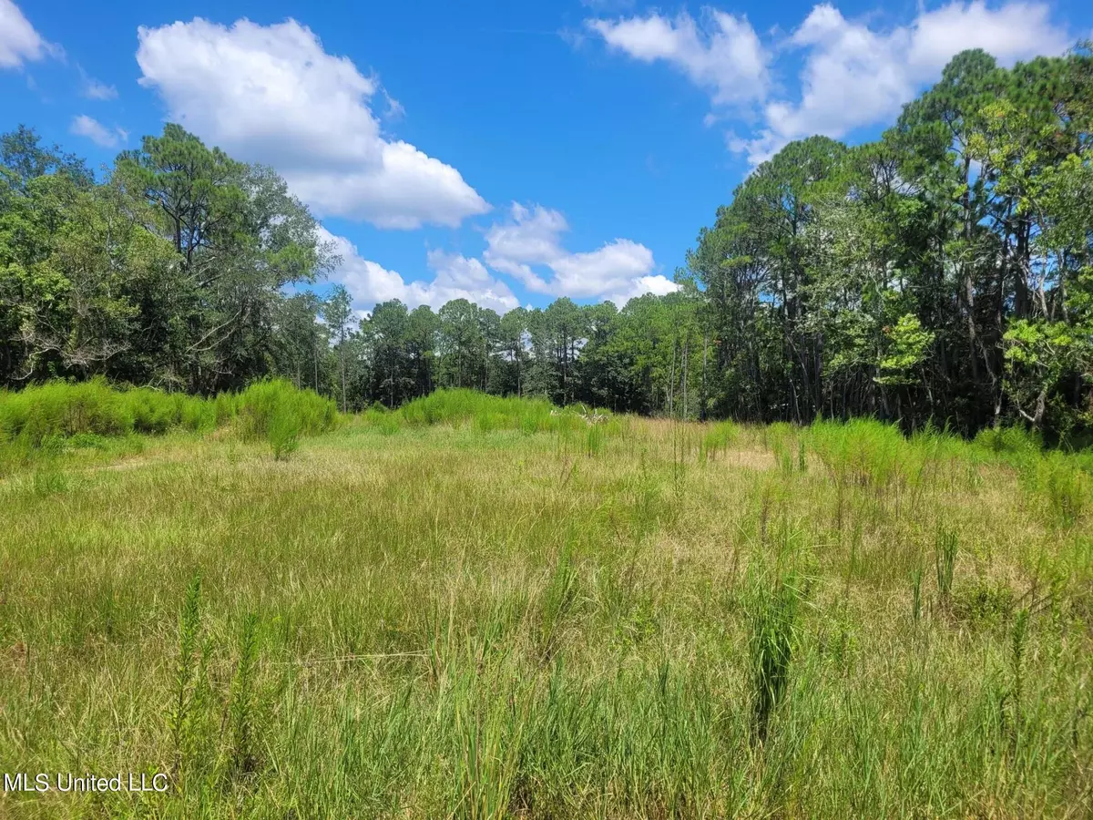 Ocean Springs, MS 39564,8612 Old Ccc Camp Road