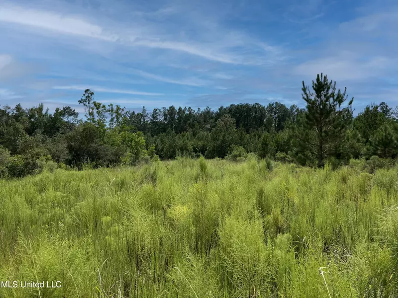 38 Indian Hill Road, Richton, MS 39476