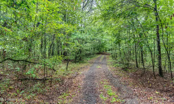 Brandon, MS 39042,Lake Side Drive