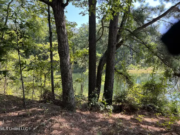 Brandon, MS 39042,Lake Side Drive