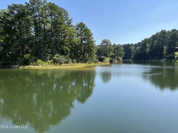 Brandon, MS 39042,0 Lake Side Drive