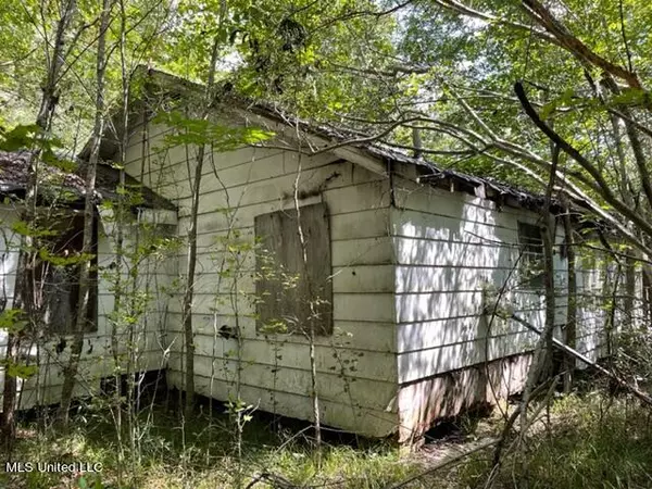 Forest, MS 39074,N Highway 21