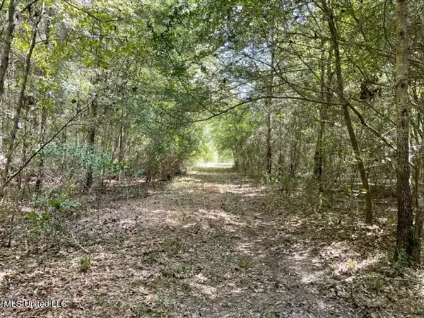 Forest, MS 39074,N Highway 21