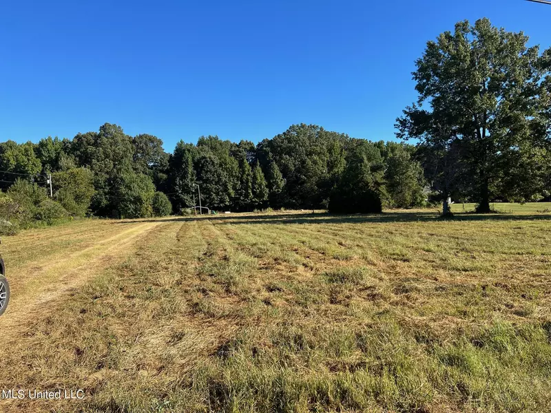 8590 Flicker Ridge Road, Lake Cormorant, MS 38641