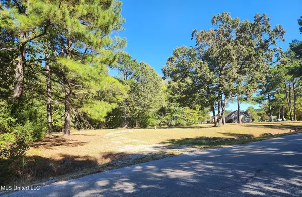 Byhalia, MS 38611,Shady Forest Subdivision