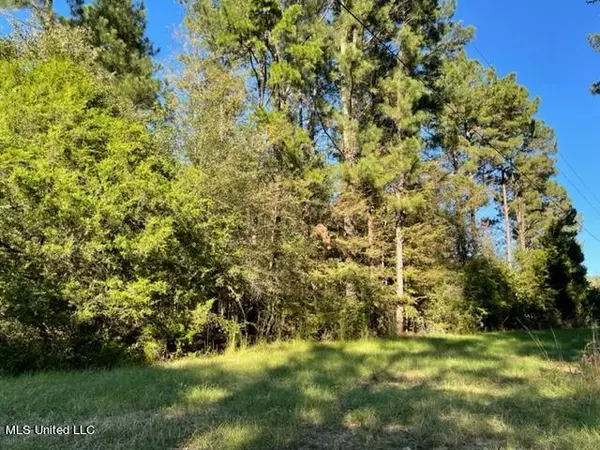 Forest, MS 39074,Midway Odom Road