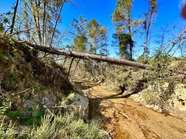 Conehatta, MS 39057,Mills Rd