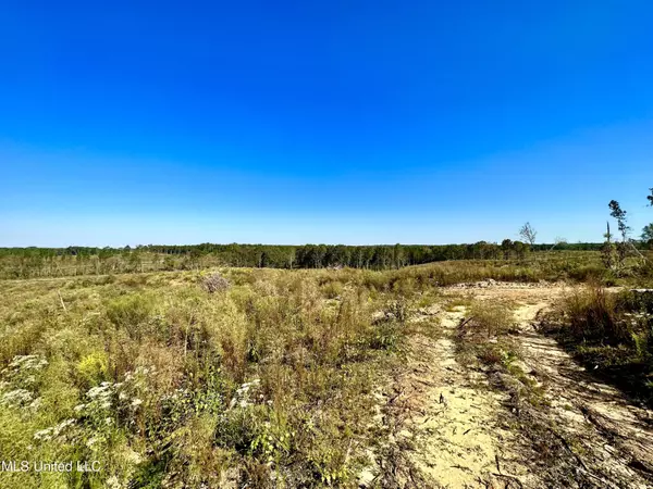 Mills Rd, Conehatta, MS 39057