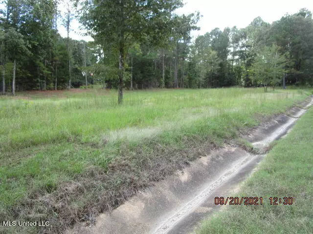 Highway 310, Como, MS 38619