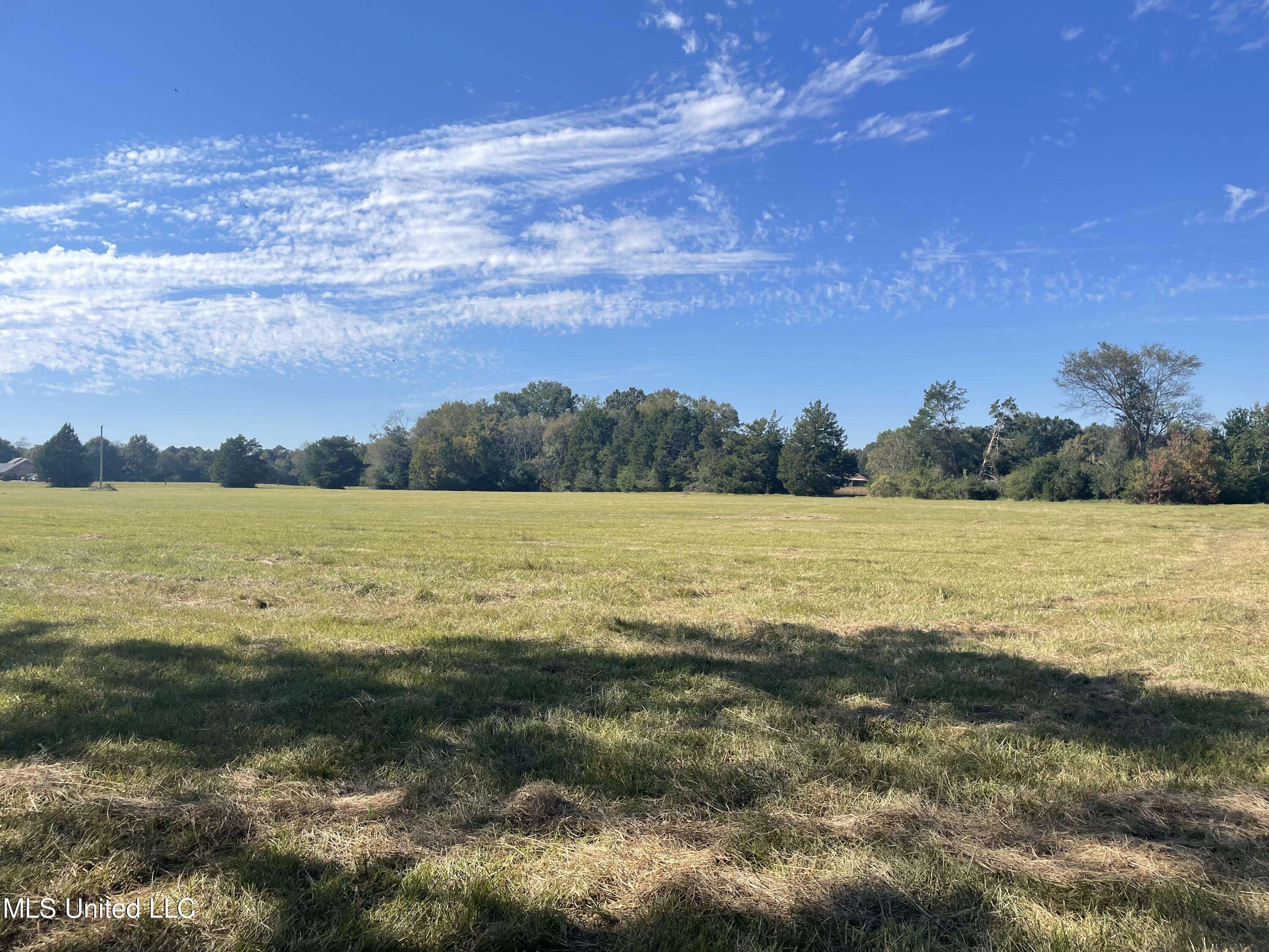Canton, MS 39046,295 Smith Carr Road