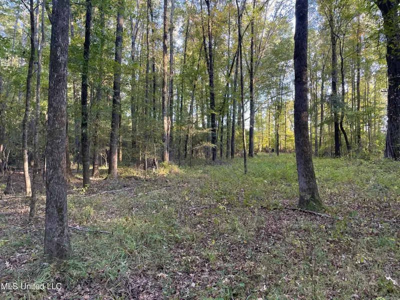 1 Loring Rd Exd, Pickens, MS 39146