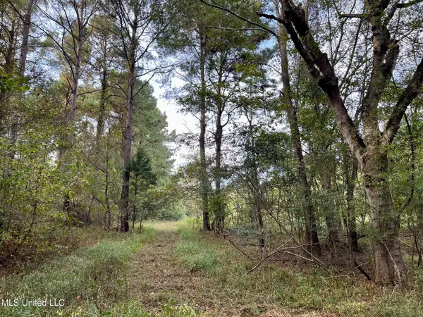 Flora, MS 39071,Spring Creek Rd